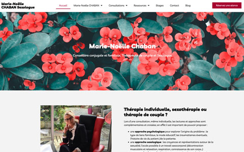 Screenshot du site web