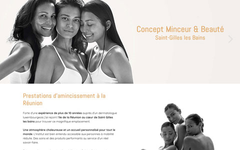 Screenshot du site web